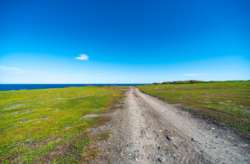 empty shore of the Arctic Ocean without people
