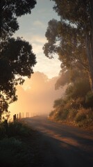 Misty sunrise path through trees (1)