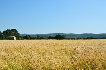 Provence rural landscape. France