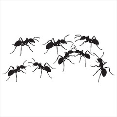 Insect Insects ant ants emmet pismire banner Vector, vector set silhouette