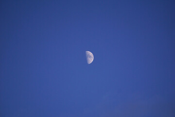 Half moon in blue sky during daytime