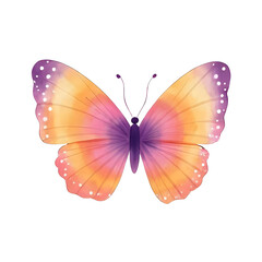 Obraz premium a beautiful colorful watercolor buttefly isolated on a transparent background
