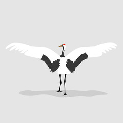 Red-crowned crane ,Grus japonensis, bird dancing with wings spread, Vector illustration.