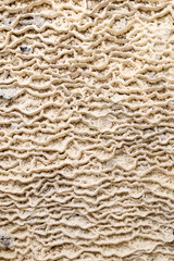Layered limestone formation, a limestone flow created by flowing water.
Water rich in calcium carbonate flows over a surface, gradually depositing the mineral and creating distinctive layers.