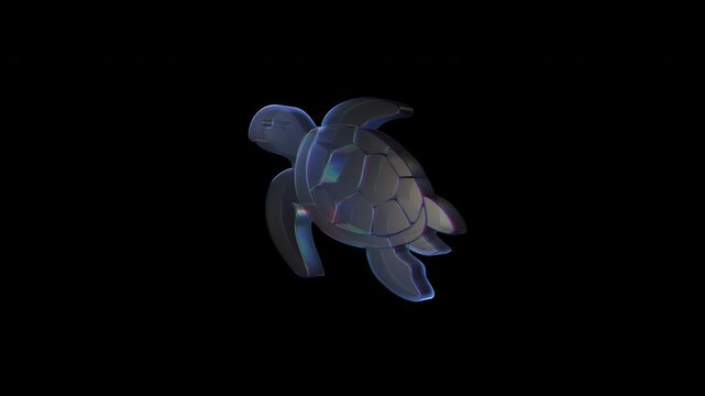 Glass sea turtle rotating on black background