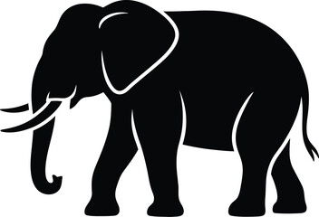 Obraz premium Black elephant walking white tusks