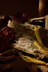 Detailed arrangement of red reishi mushrooms and ginseng placed against bark textures, celebrating the beauty and authenticity of Eastern healing herbs.
