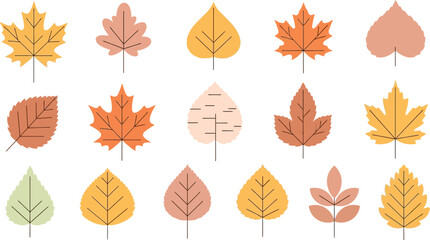 Fototapeta premium Autumn leaves collection: stunning fall foliage designs for elegant seasonal projects