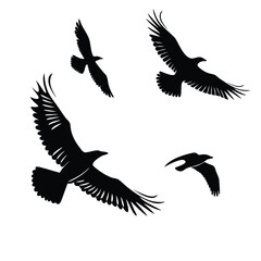 Four birds silhouettes vector illustration with dynamic flight poses