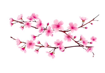 Fototapeta premium Unleash the Beauty of Nature with this Stunning New Vector of a Branch of Beautiful Sakura Flowers, Perfect for Logos and Web Design.