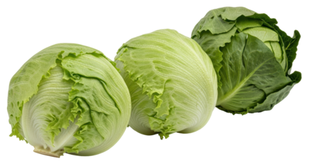 Isolated Iceberg Lettuce Heads