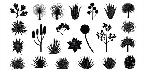 Assortment of Desert Plant and Leaf Silhouettes on White Background Keywords: desert plant, succulent