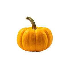 Fototapeta premium A small, bright orange pumpkin with a curved stem, set against a transparent background. Perfect for Halloween designs.