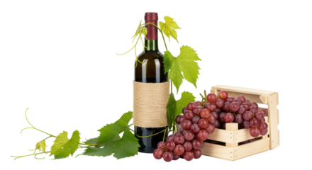 Isolated Wine Bottle and Grapes