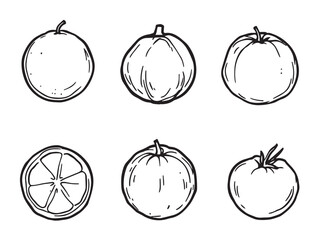 Orange Fruit Clear Vision Simple Line Art