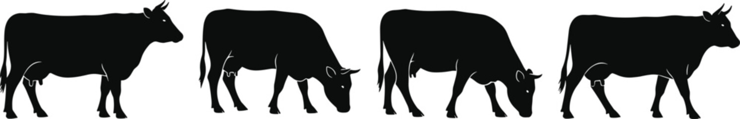 Four Black Silhouettes of Cows Grazing and Standing on White Background Keywords: cow, cattle