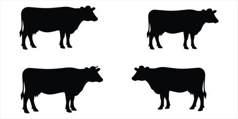 Four black silhouettes of cows standing in different directions on white background cattle animal
