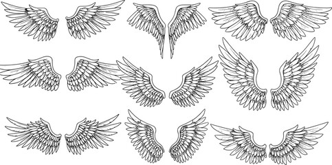 Hand drawn angel wings, set of feather wing designs, fantasy bird wing illustration, black and white sketch, mystical tattoo concept, vector wing elements