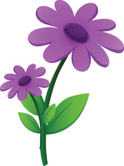 violet flower on white background
