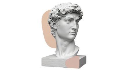 Isolated David Bust