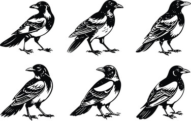 Crow illustration, raven artwork, black bird silhouette, stylized corvid drawing, detailed feather design, side profile bird sketch, artistic wildlife image
