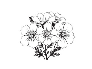 Phlox Minimal Outline Drawing Illustration