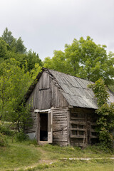 Obraz premium Old wooden cabin in mountain forest surrounded by green trees, rural landscape.