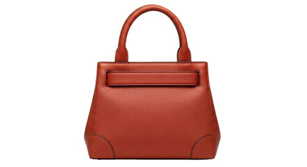 Isolated Orange Handbag
