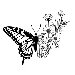 Vector illustration of butterfly on flowers