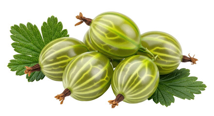 Isolated Gooseberry