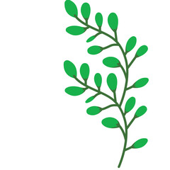 Flat vector illustration of leafy green plant branch isolated on white background, perfect for eco, decorative, and natural design.