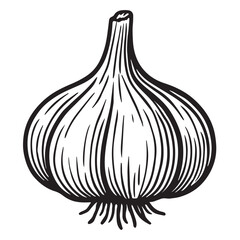 Garlic Bulb in Ink Illustration linocut woodcut engraving black and white vegetable illustration
