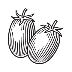 Roma Tomatoes in Vintage Illustration linocut woodcut engraving black and white vegetable illustration