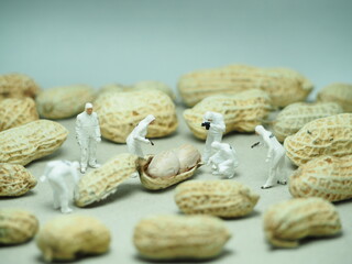 Mini toy of action figure at table with blurred background. Miniature photography concept. Minifigure of worker character with peanuts.