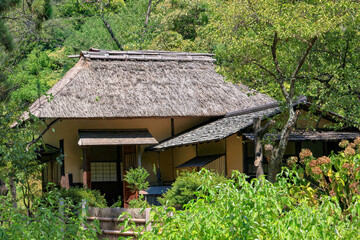 日本周遊　酷暑の横浜三渓園