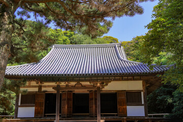 日本周遊　酷暑の横浜三渓園