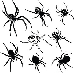 Spider silhouette collection, isolated spider icons, black spider shapes, arachnid species set, insect vector, creepy crawlies, biology illustration, entomology reference