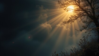 enchanted and misty dark mood under midday sun subject: top right with ample copy space at the bottom, optimized for photo use.