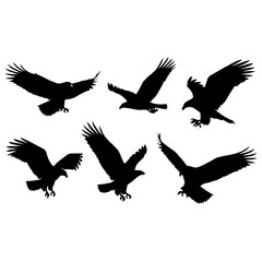 Obraz premium Silhouetted Birds in Flight: Collection of Eagle Silhouettes for Nature, Travel, and Stock Use