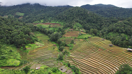 Aerial landscape view of rice terrace and mountain views