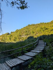 Wooden footbridge in lush greenery under blue sky