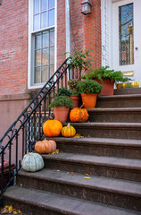 Colorful Pumpkins and Halloween decorations on the Stairs of an Old Brownstone Home