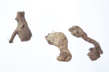 Obraz premium Boesenbergia rotunda or Temu Kunci is a type of spice whose rhizomes are used as a spice in Southeast Asian cuisine. Intersection key is one of the original plants from Indonesia.