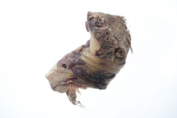 Fresh ginger isolated on white background. Sliced ​​ginger. Ginger root. Traditional alternative medicine, healing tea for immunity. Close-up.