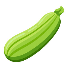 Minimalist color zucchini vegetable design