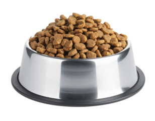 Silver Bowl Filled with Dry Kibble Pet Food, Front-Facing View, isolated on white background
