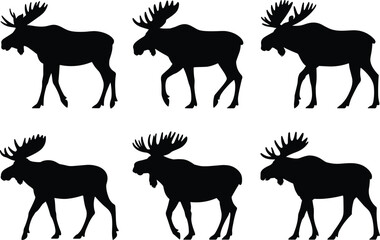 Moose silhouette icon set, black vector illustration, walking animal poses, antler shapes, wildlife design, forest creature, nature symbol, mammal