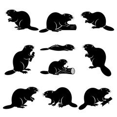 A black vector collection of animal silhouettes beaver © Sketch