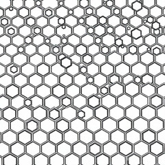Minimilist a complex network of interconnected hexagons forming a detailed geometric pattern on a white background vector
