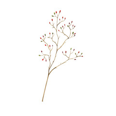 Watercolor autumn dry branch with red berries. Botanical hand drawn boho illustration isolated on background. Ideal for seasonal, halloween, forest, or nature-themed designs. Rustic foliage perfect